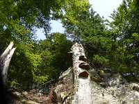 Hautes Vosges 27 08 2017  (8)